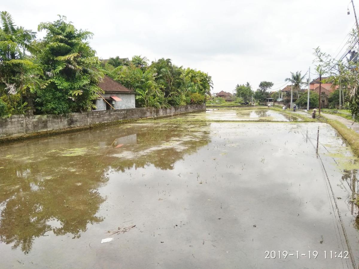Bhuana Alit 2 Ubud Exterior foto